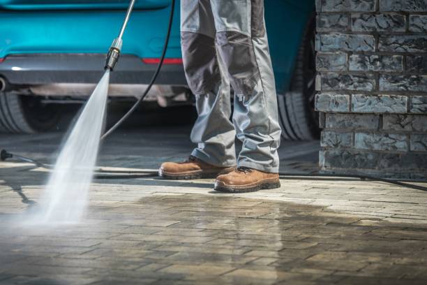 Best Boat and Dock Cleaning  in Palmer, AK